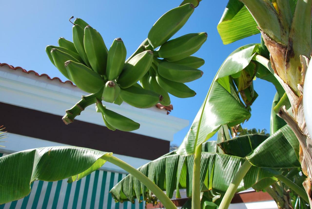 Lacy Golf Apartments (Adults Only) Maspalomas  Exterior foto
